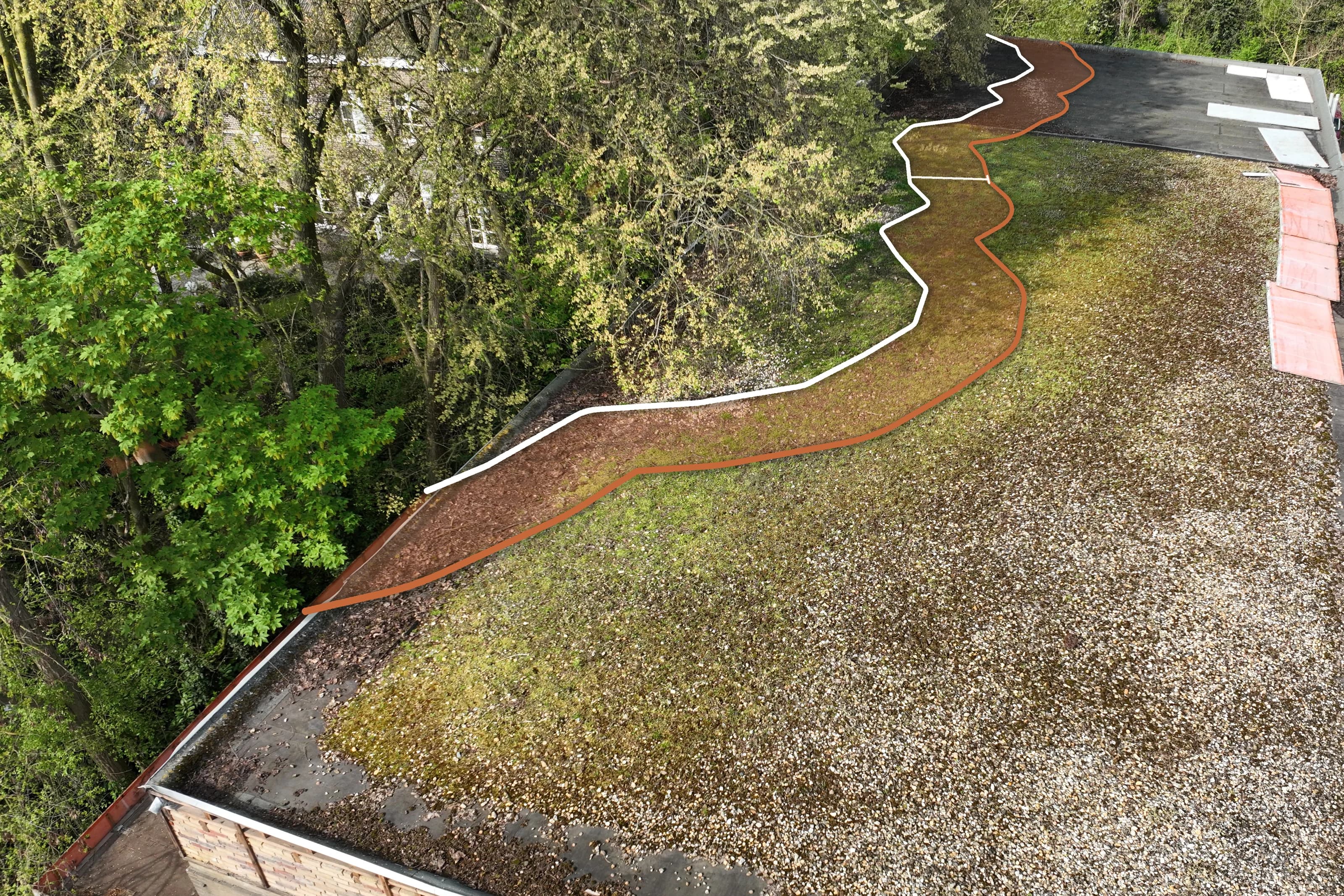 Dronefoto van het platte dak van het te slopen pand met de boomkronen ernaast: een witte lijn volgt de kroonprojectie, een terracotta lijn de kwetsbare boomzone